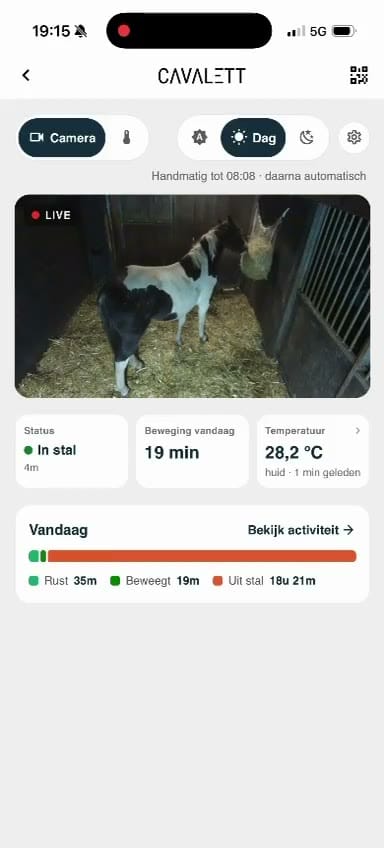 De Cavalett-app met livebeeld, status in stal en de activiteit van vandaag