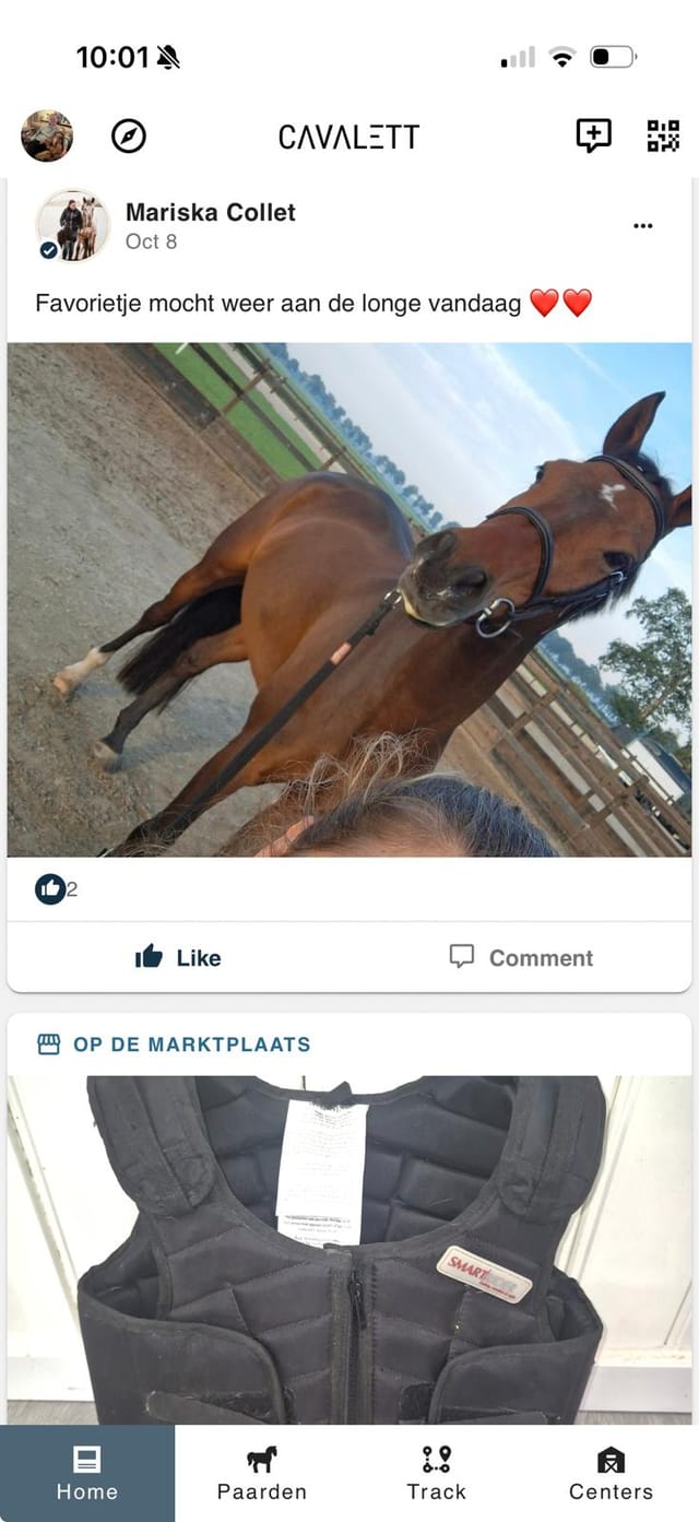 Cavalett-app, Hoofbeat: een bericht met een foto van een paard aan de longe, met likes en reacties, en daaronder een advertentie van de marktplaats