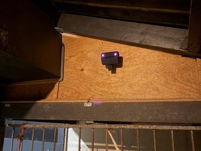 De Equisense Stable-camera gemonteerd op een houten stalwand boven de box