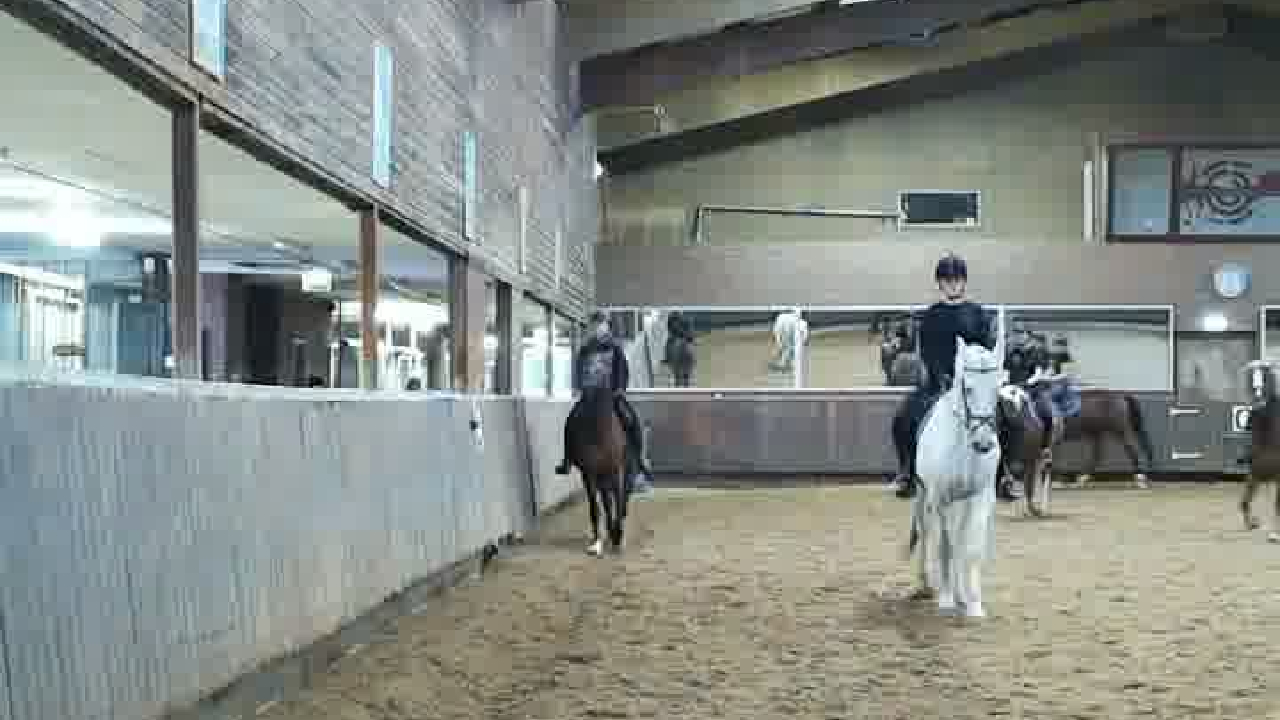 Equisense Arena in de praktijk